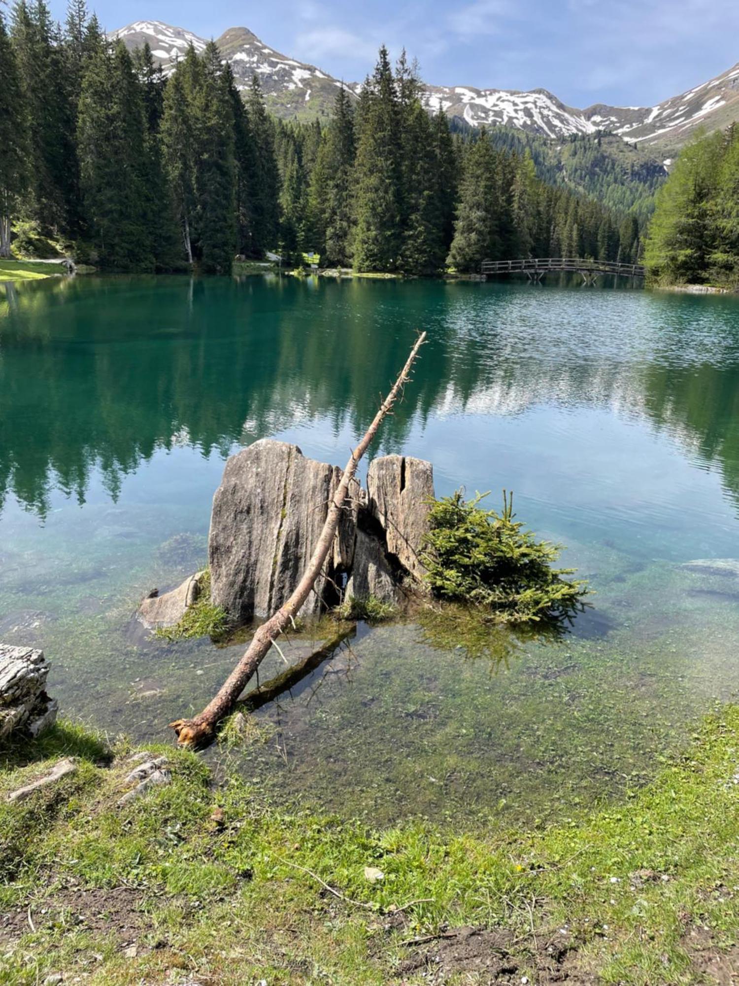 Ferienwohnung Mondial Neustift im Stubaital Exteriör bild