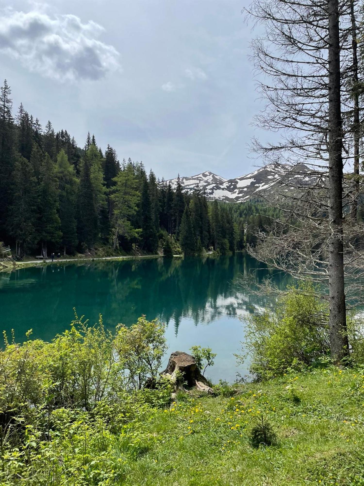 Ferienwohnung Mondial Neustift im Stubaital Exteriör bild