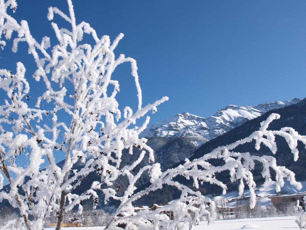 Ferienwohnung Mondial Neustift im Stubaital Exteriör bild
